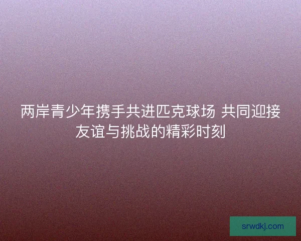两岸青少年携手共进匹克球场 共同迎接友谊与挑战的精彩时刻 两岸青少年携手共进匹克球场 共同迎接友谊与挑战的精彩时刻